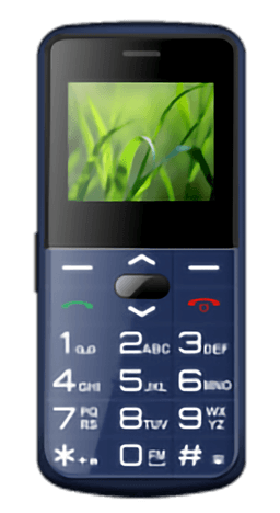 Raisecom T189