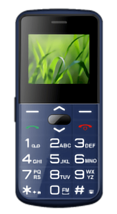 Raisecom T189